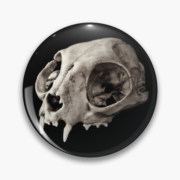 Item preview, Small mammal skull designed and sold by moth-creature.