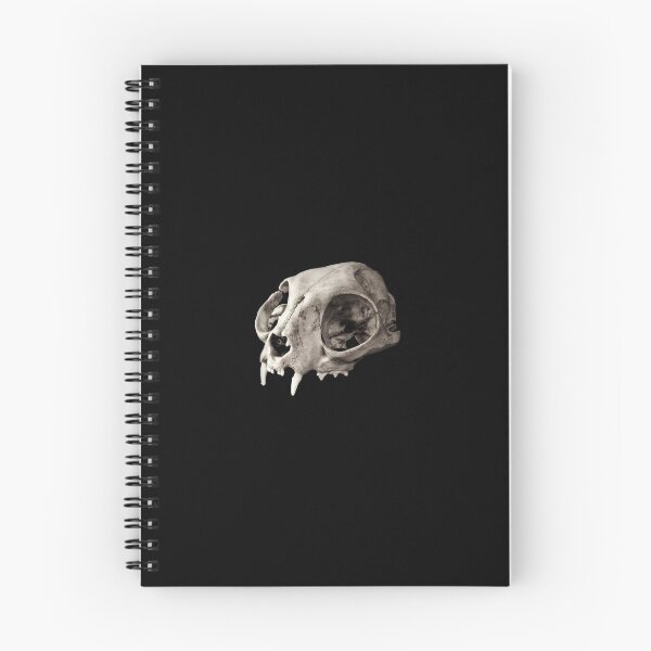 Item preview, Small mammal skull designed and sold by moth-creature.