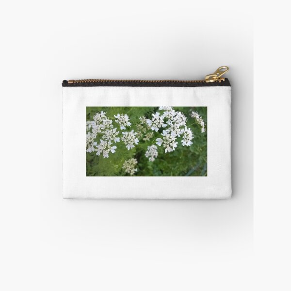 Artikelvorschau, Koriander Blumen entworfen und verkauft von TheaShutterbug.