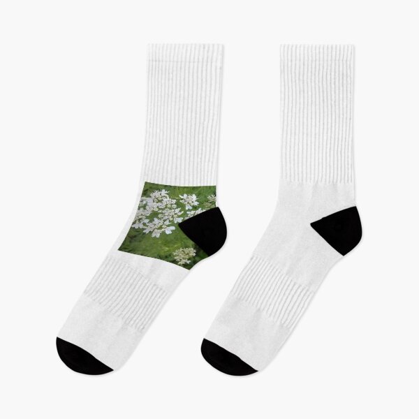 Item preview, Coriander Flowers designed and sold by TheaShutterbug.