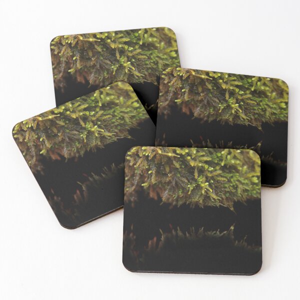 Item preview, Reflections of Moss designed and sold by StampCity.