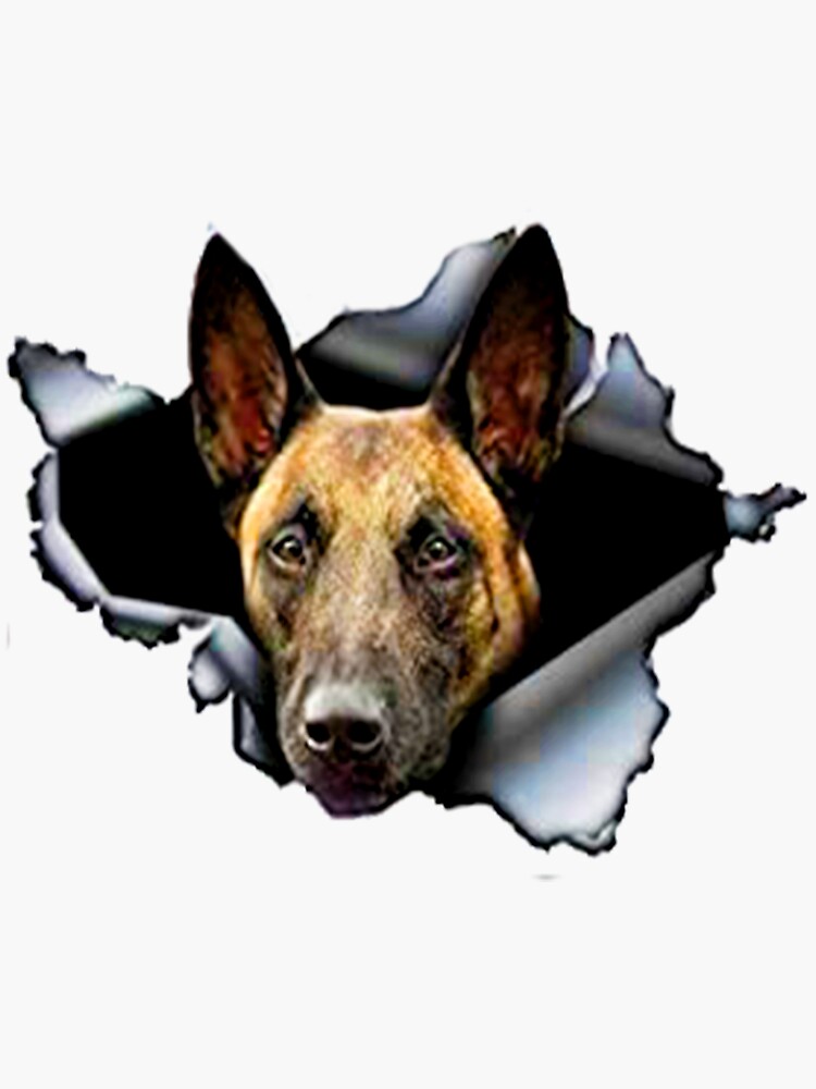 Belgian best sale malinois gifts