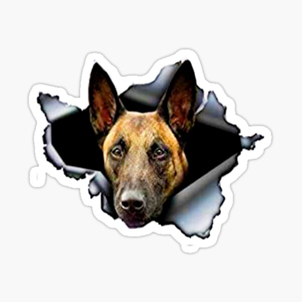 MALINOIS Aufkleber - Malinois Autoaufkleber - sticker - Malinois Kontur #52