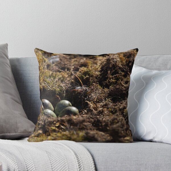 Item preview, Close-up of four eggs in sandpiper nest designed and sold by Nick Dale Photography.