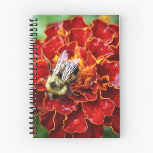 Item preview, Bee Pollenating Over Red Flower designed and sold by NaVisuals.