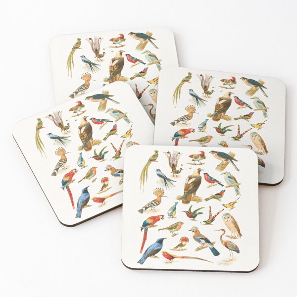 Item preview, 22 Species of Birds designed and sold by linggalibrary.
