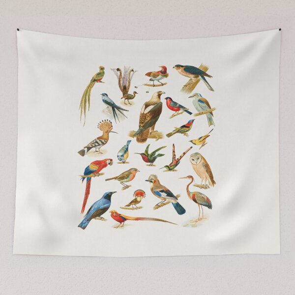 Item preview, 22 Species of Birds designed and sold by linggalibrary.
