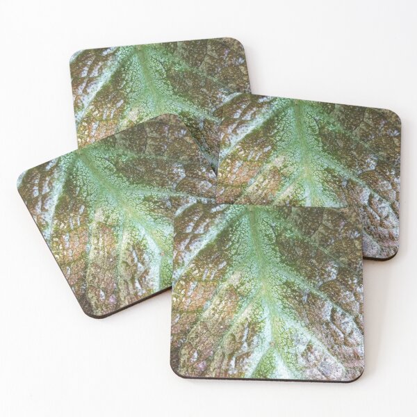 Item preview, Leaf Vein CloseUp Photo designed and sold by Pankas.