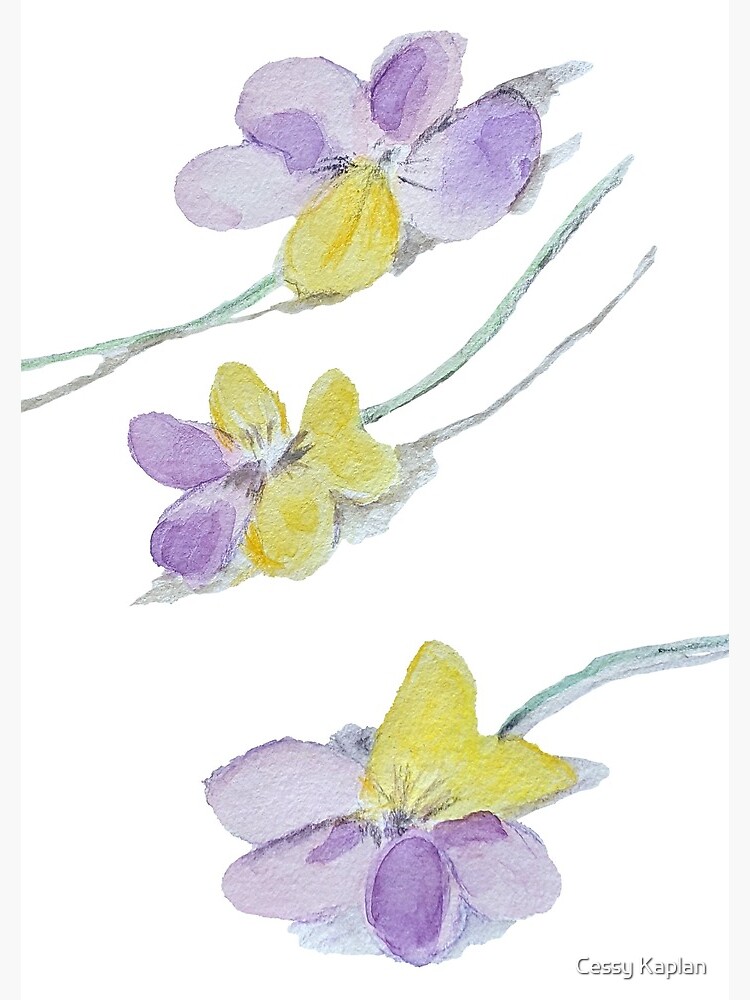 Forget Me Not Flowers Spiral Notebook By Sfca Redbubble