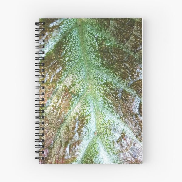 Item preview, Leaf Vein CloseUp Photo designed and sold by Pankas.