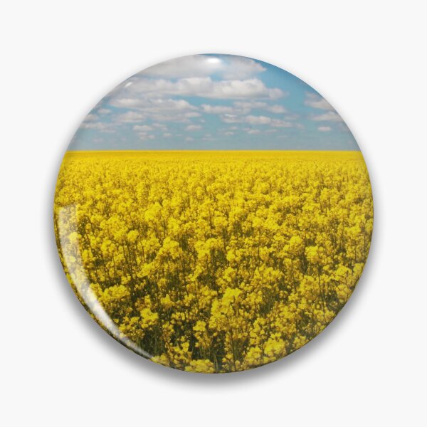 Item preview, Canola Field designed and sold by Jared Davies.