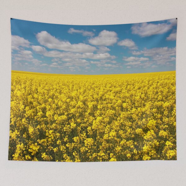 Item preview, Canola Field designed and sold by Jared Davies.
