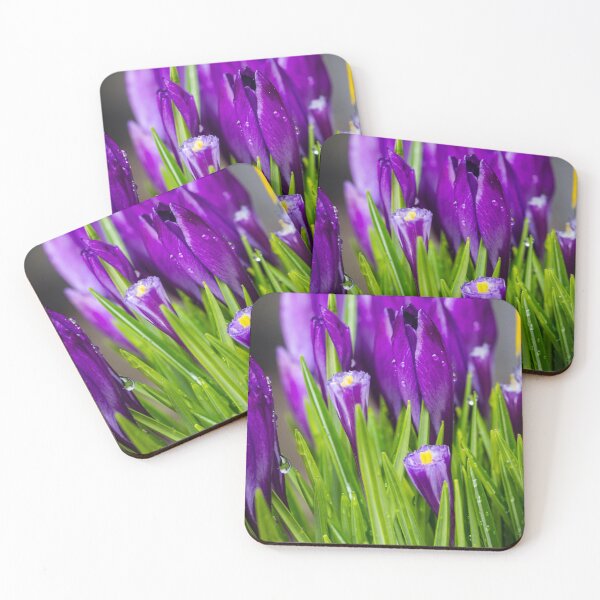 Item preview, Spring Crocus 9 designed and sold by Robert Alsop.