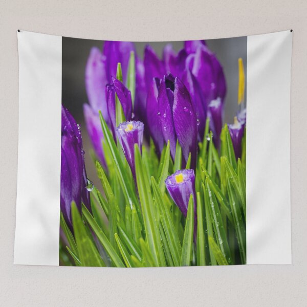 Item preview, Spring Crocus 9 designed and sold by Robert Alsop.