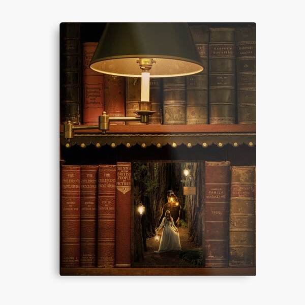 The Little Library Metal Print
