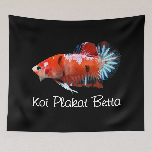 Item preview, Betta Fighting Fish - Koi Plakat Betta - For All Betta Splendens Lovers designed and sold by AquariumExp.
