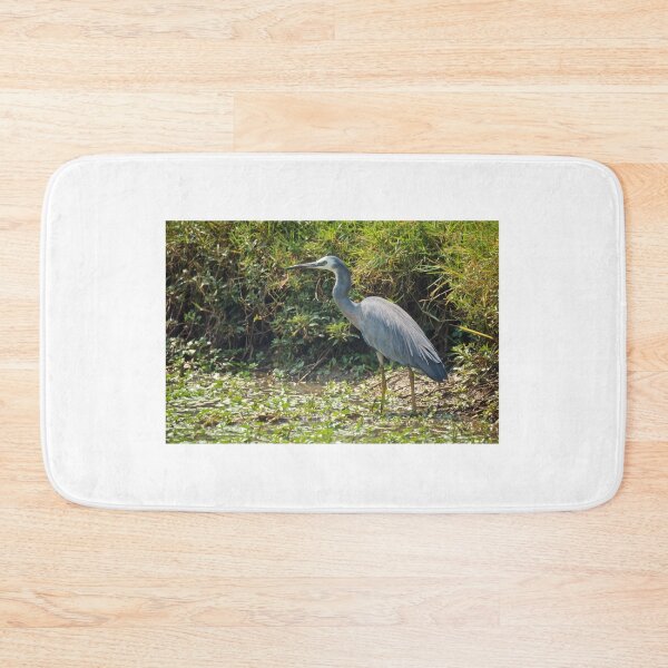 Item preview, White Faced Heron designed and sold by D-GaP.