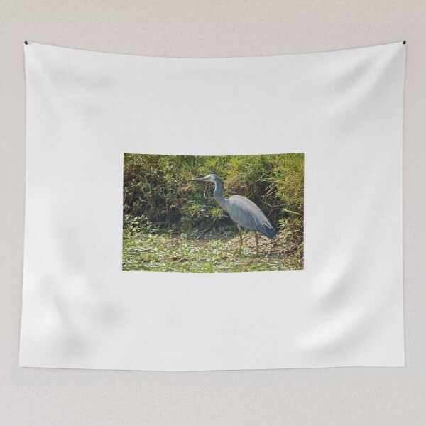 Item preview, White Faced Heron designed and sold by D-GaP.