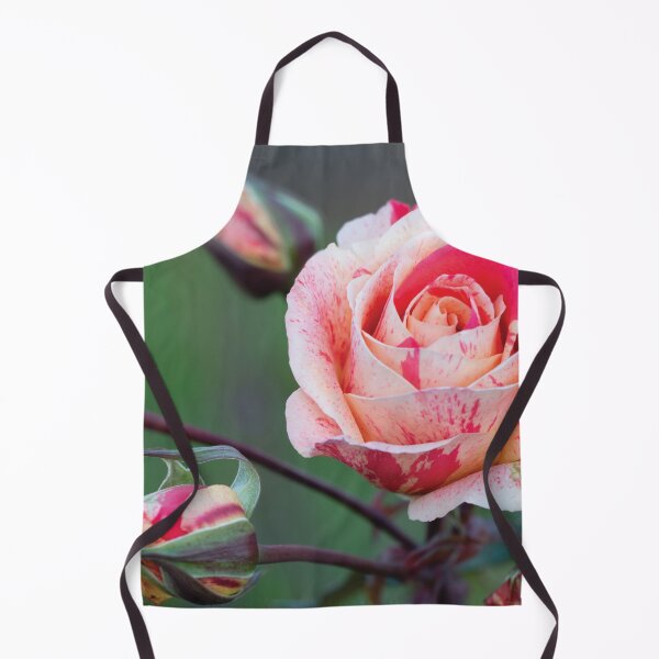 Item preview, The Colors of the Rose designed and sold by kbkiwiart.