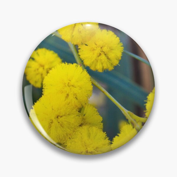 Artikelvorschau, Wattle ist eine wunderschöne Blume, die Ihren Tag erhellen wird entworfen und verkauft von Faelee.