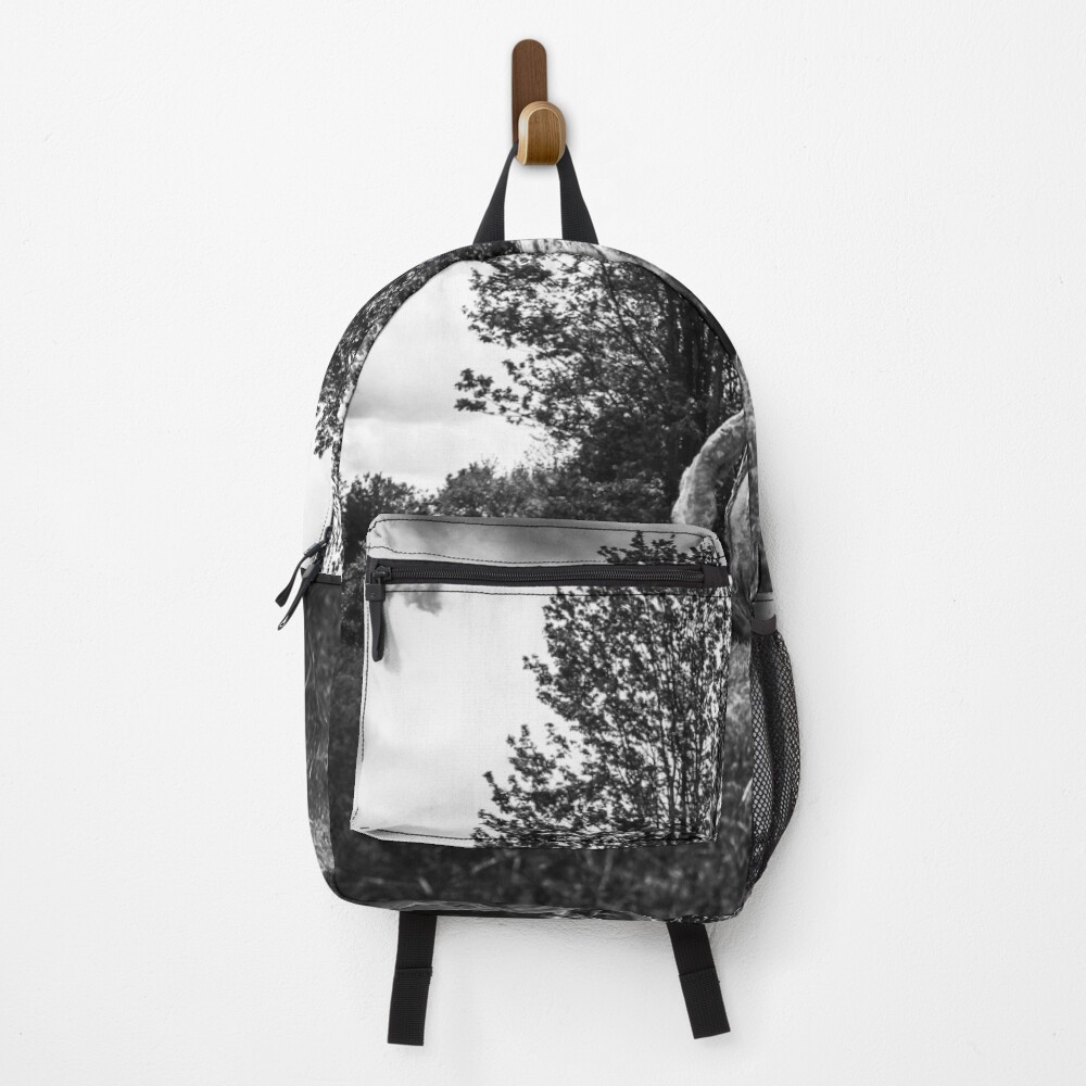 Item preview, Backpack designed and sold by aec157.