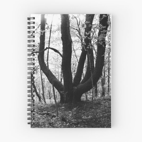 Item preview, Mystic tree designed and sold by aec157.