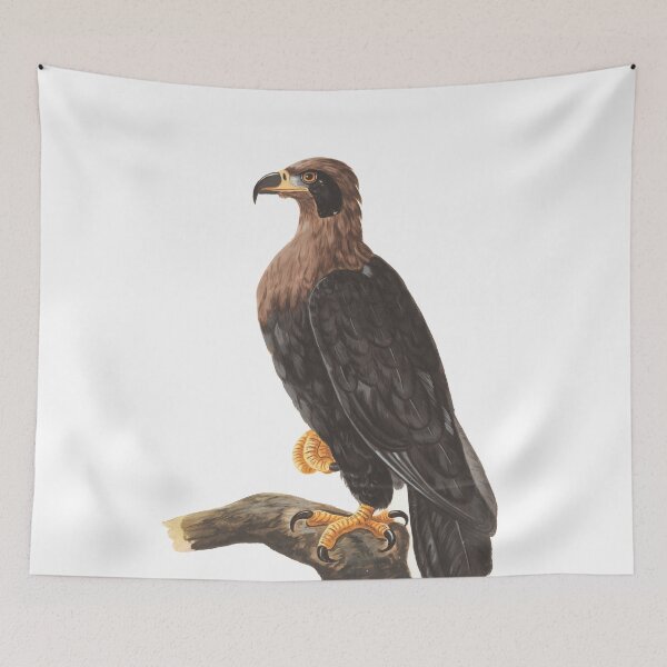 Item preview, Black-cheeked Eagle designed and sold by linggalibrary.