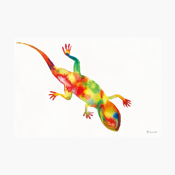 Mr. Lizard 1 Photographic Print