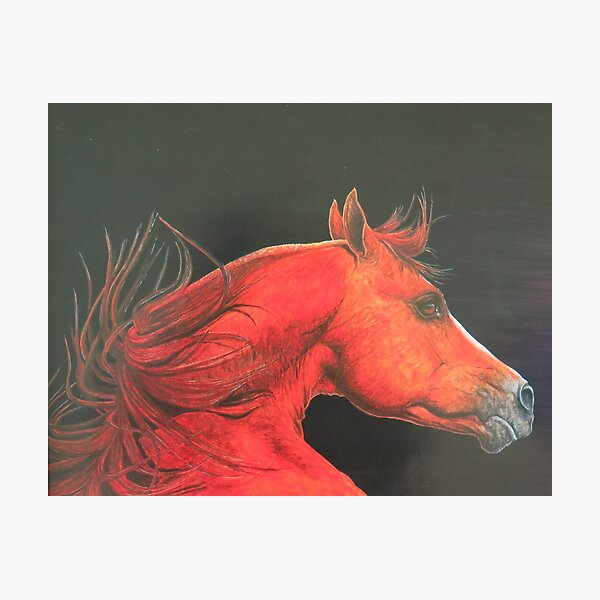 Arabian Horse painted in vibrant color on dark background Photographic Print