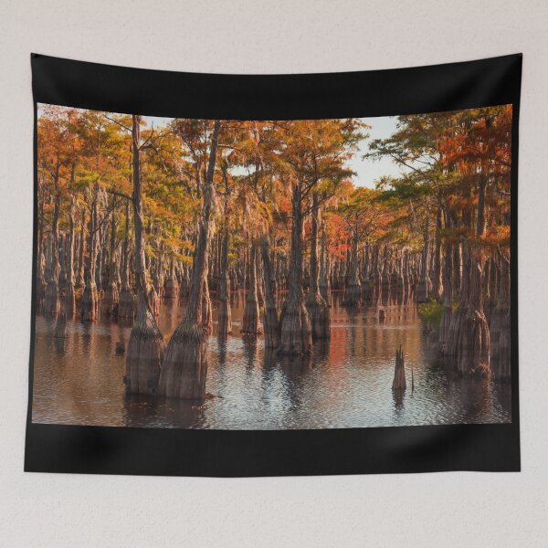Item preview, Cypress swamps, Georgia designed and sold by Under The Radar Van.