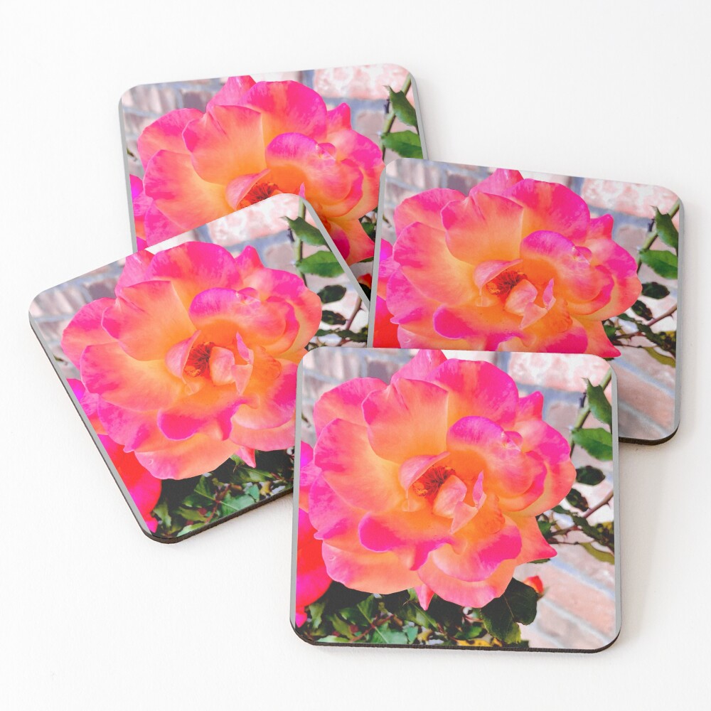 Item preview, Coasters (Set of 4) designed and sold by Roonature.