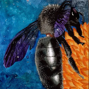 Artwork thumbnail, Galaxy Bee by Rey Mehlhorn
