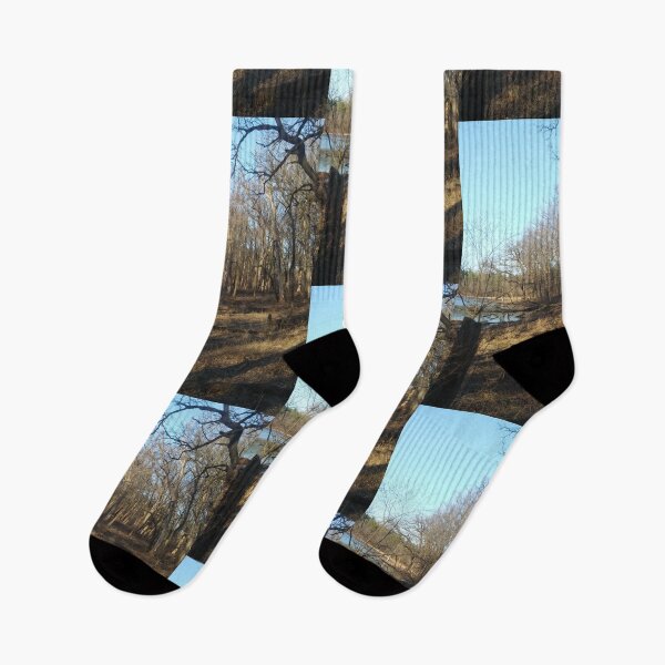 Item preview, Mucky Spring Pond designed and sold by NathanMoore92.