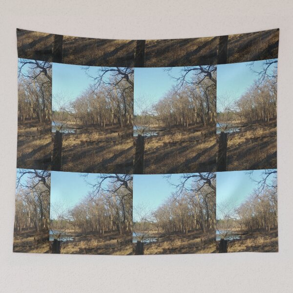 Item preview, Mucky Spring Pond designed and sold by NathanMoore92.