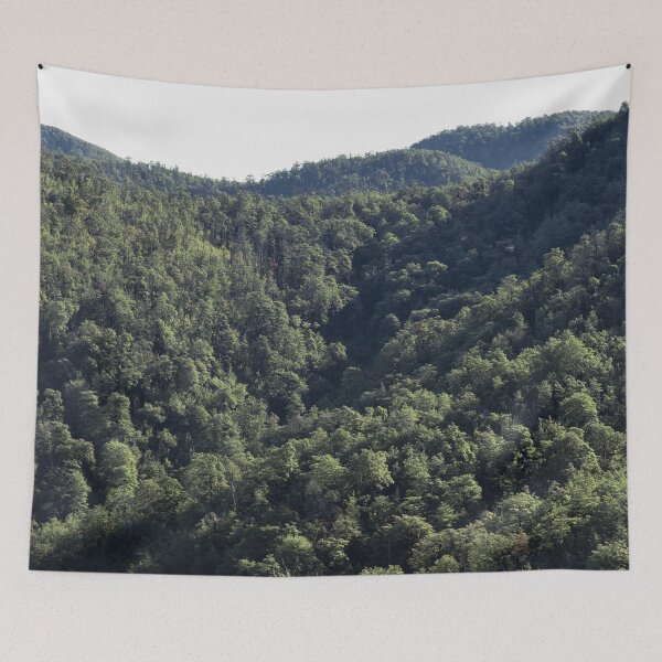 Item preview, Forest Landscape designed and sold by ind3finite.