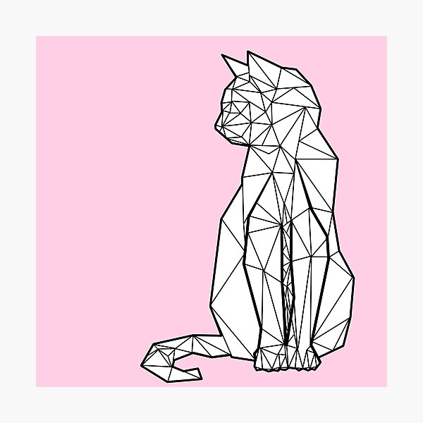 Geometric Cat Photographic Print
