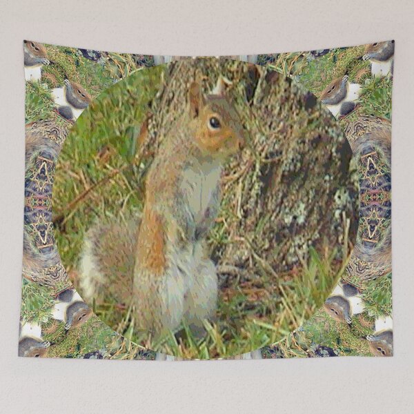 Item preview, Squirrel Stand designed and sold by kristalcurt.