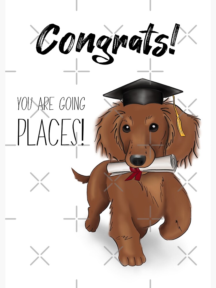 Cute Dachshund Graduate Ready For Graduation | You Are Going Places"  Greeting Card for Sale by ElysianCreation | Redbubble