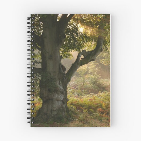 Item preview, Otoño designed and sold by Getty72.