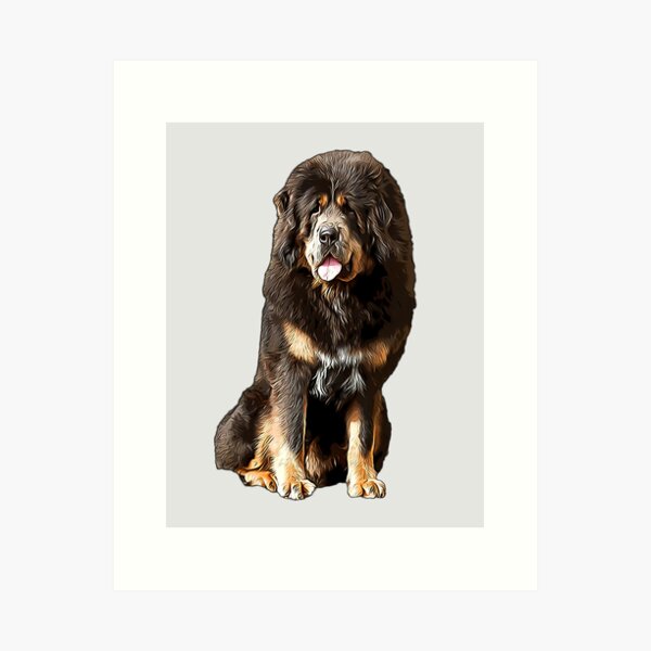 Tibetan Mastiff Wall Art Redbubble