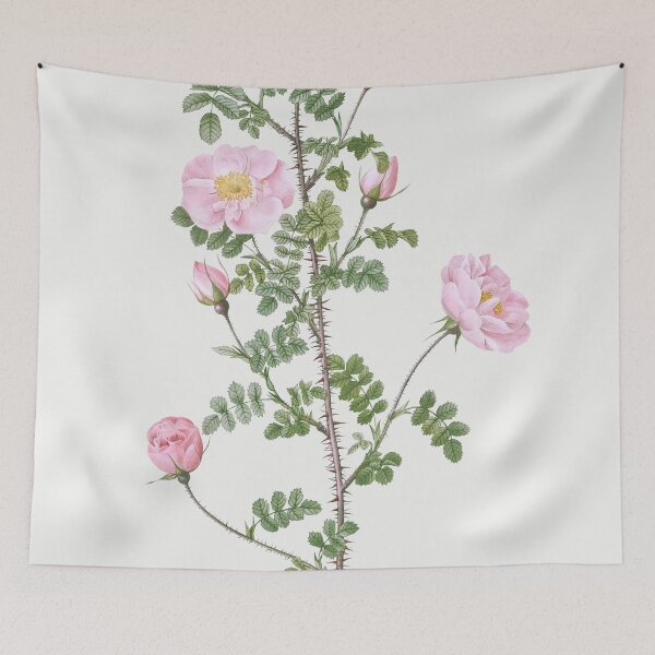 Item preview, Les Roses by Pierre-Joseph Redouté designed and sold by EsotericBotanic.