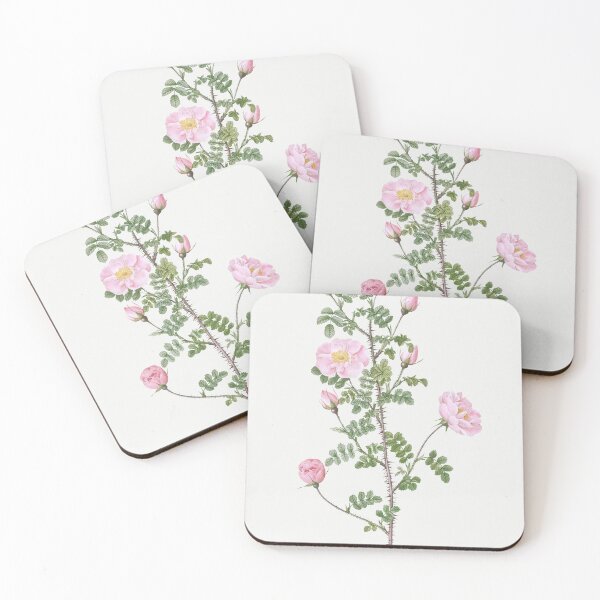 Item preview, Les Roses by Pierre-Joseph Redouté designed and sold by EsotericBotanic.
