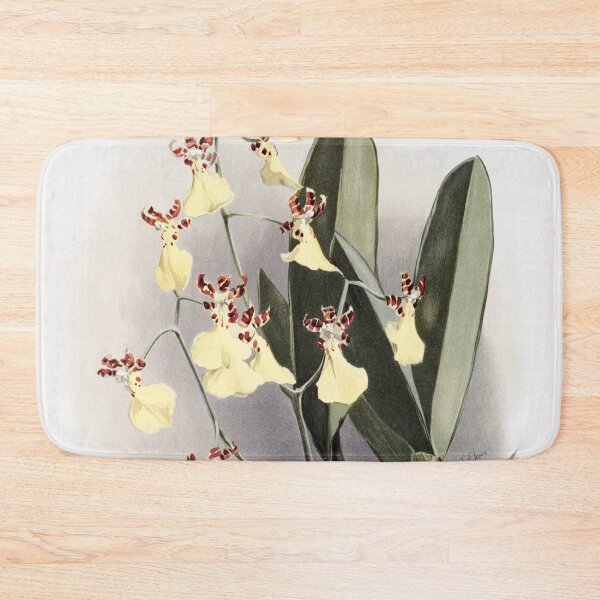 Item preview, Reichenbachia: Orchids Illustrated and Described designed and sold by EsotericBotanic.