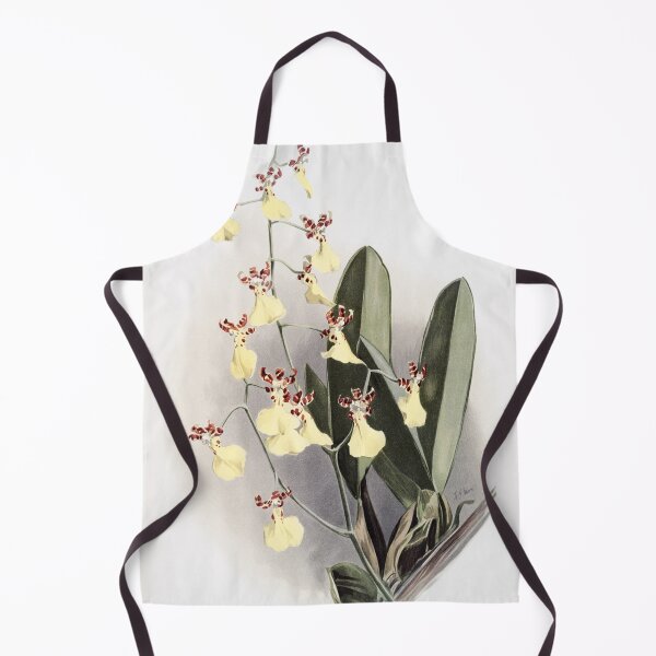 Item preview, Reichenbachia: Orchids Illustrated and Described designed and sold by EsotericBotanic.