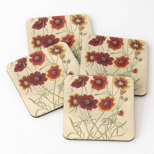 Item preview, Curtis's botanical magazine (Plate 3511) (8043252863) designed and sold by EsotericBotanic.