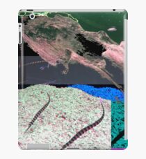 DIVE IN iPad Case/Skin