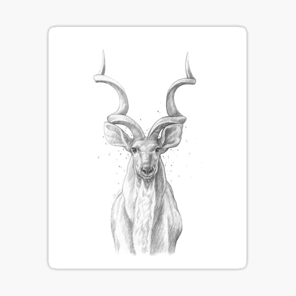 Buy Regal Kudu LV Edition Neon Art