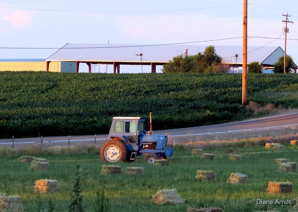 "Little Blue Ford Tractor...Caldwell, Idaho....farm country" by Diane
