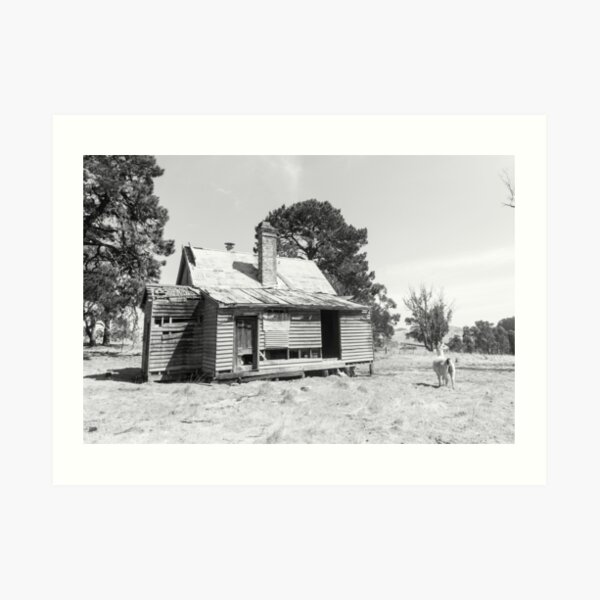 Llama's Home Art Print