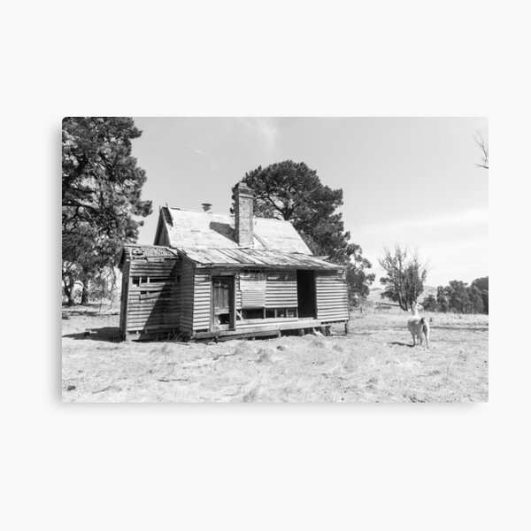 Llama's Home Canvas Print